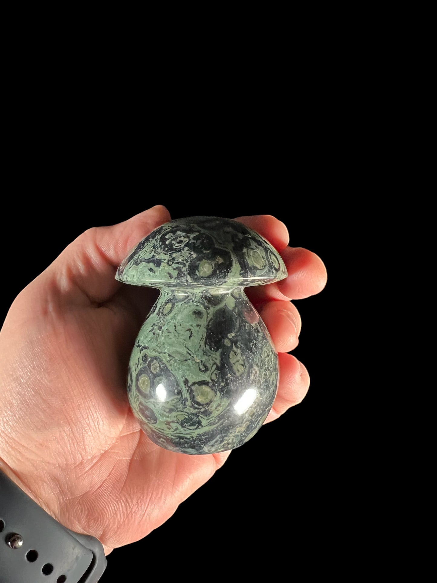 Kambaba Jasper KJ102