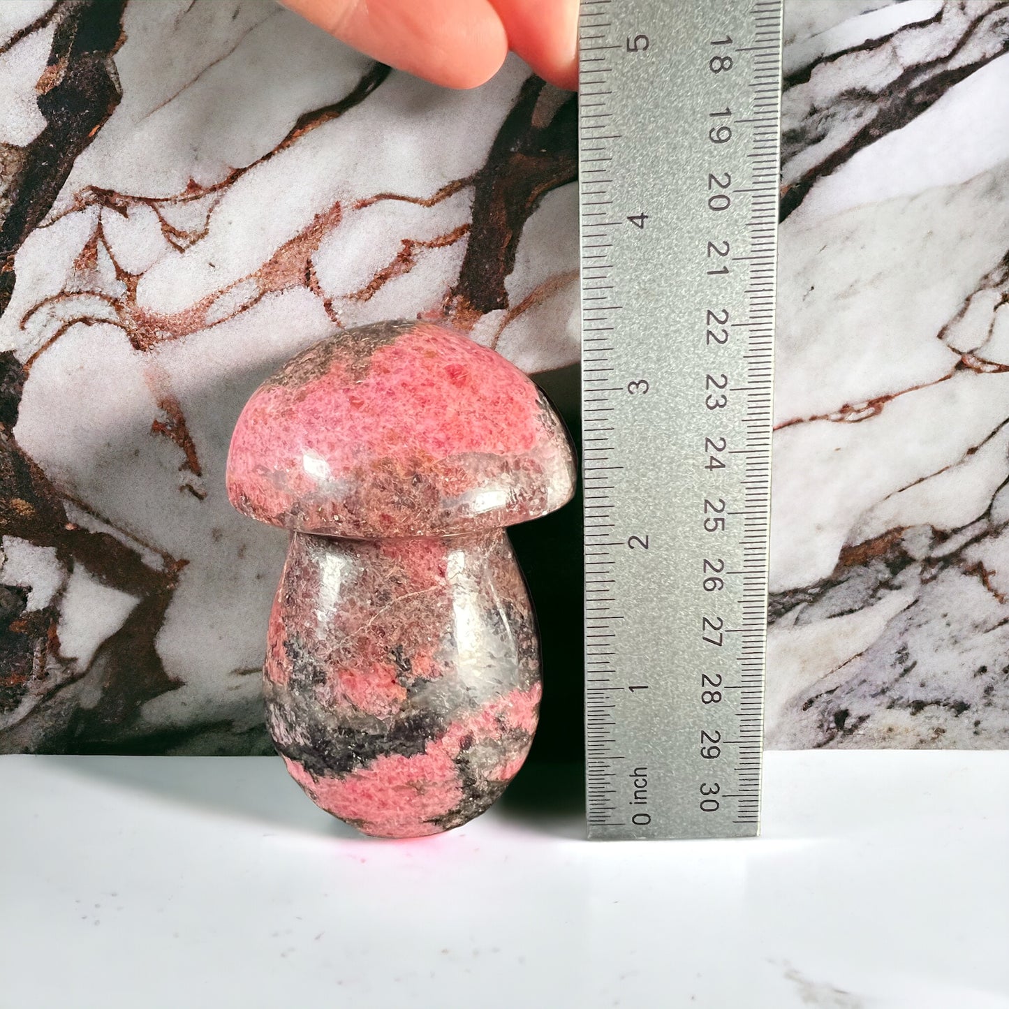 Rhodonite Mushroom RM1012